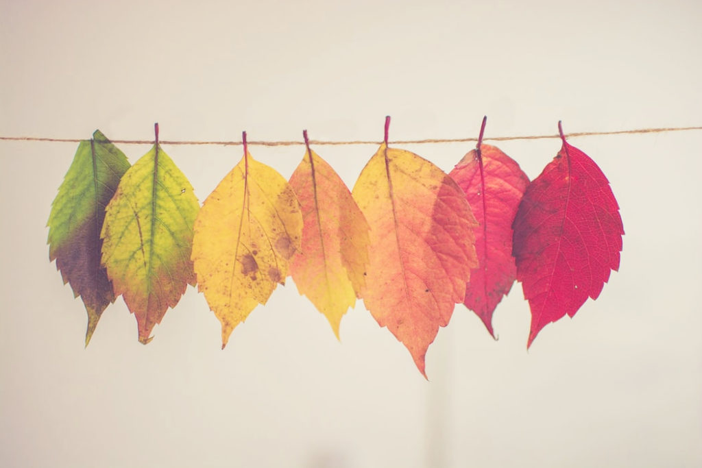 season