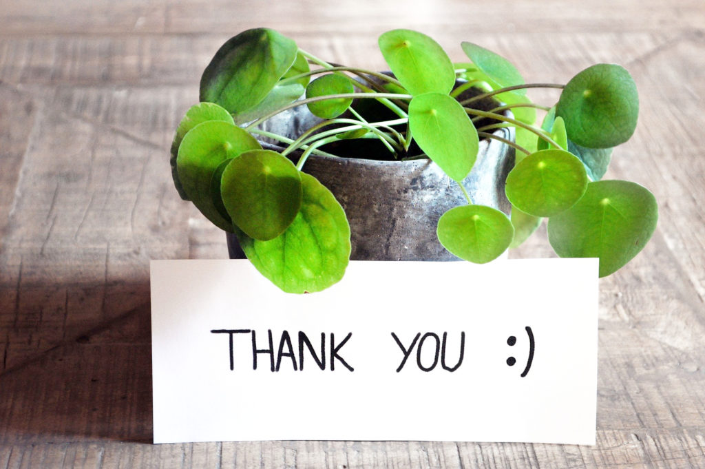 Thank you